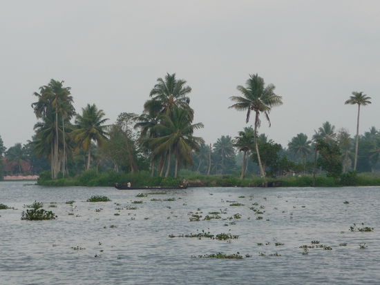 Backwaters in Kerala