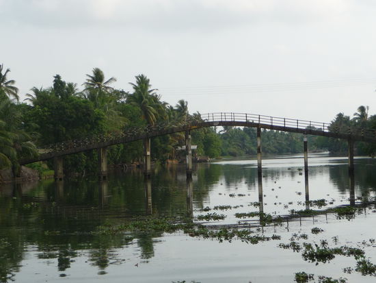 Backwaters in Kerala