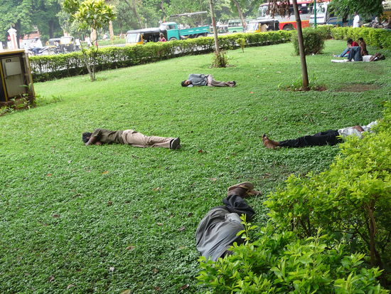 Einer von vielen Parks in Mysore am Harding Circle
