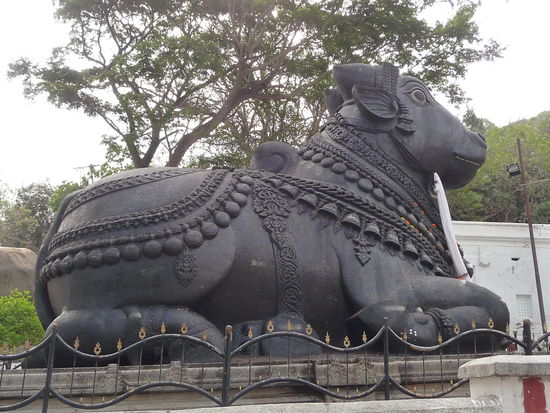 Nandi Bulle aus Granit aus dem Jahre 1659