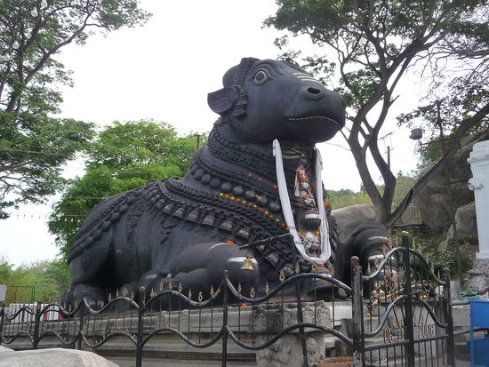 Nandi Bulle aus Granit aus dem Jahre 1659
