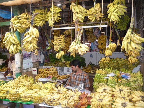Bananenstand im Devaraja Markt