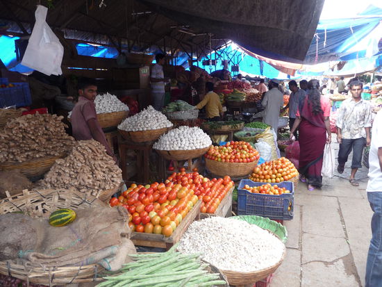 Tomaten und Knoblauch