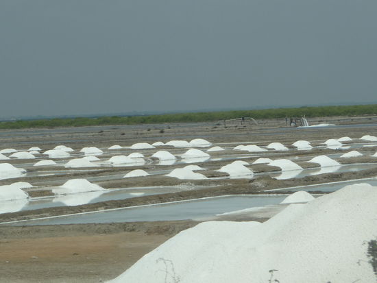 Salzabbau kurz vor Auroville