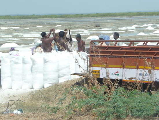 Salzabbau kurz vor Auroville