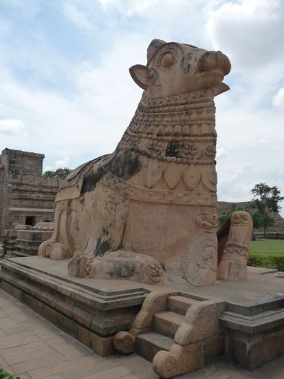 Nocheinmal der Nandi Bulle