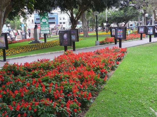 Park in Miraflores