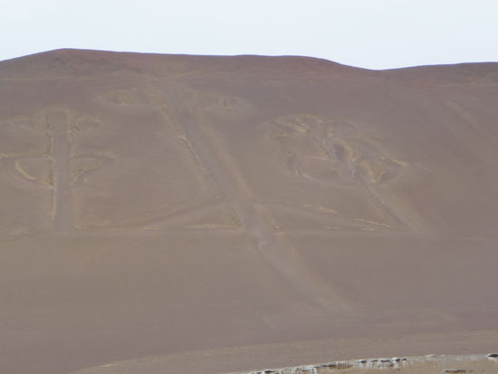 Hier machen wir einen Stop am Dreizack El Candelabro. Das  im Wüstensand eingekerbte Bild ist 180 m hoch und über 70 m breit. Es ist sehr alt und dient u.a. Seefahrern und Fischern als Orientierungspunkt. Ähnlichkeiten mit den Bodenzeichnungen von Nasca sind nicht zu verkennen.