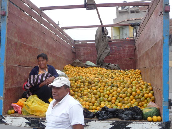 Frische Orangen zu verkaufen