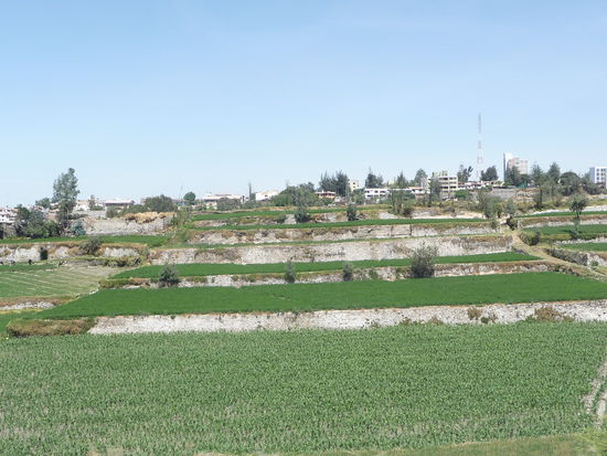 Alte Inkaterassen in Arequipa