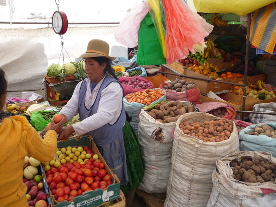 Welche Sorte Kartoffeln hätte man gerne ?? 
