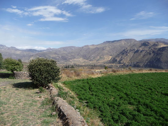 Blick aus meinem Zimmer