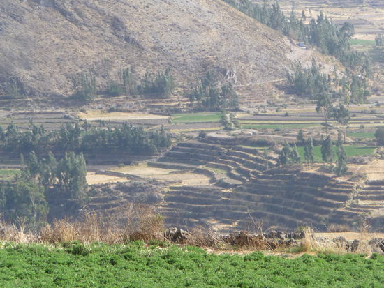 Blick aus meinem Zimmer