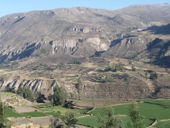 Fahrt durch den Colca Canyon
