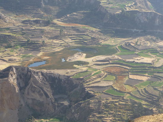 Blick ins Tal im Colca Canyon