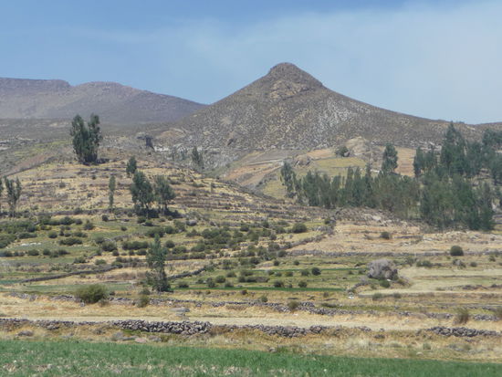 Es geht weiter und wieder heraus aus dem Colca Canyon
