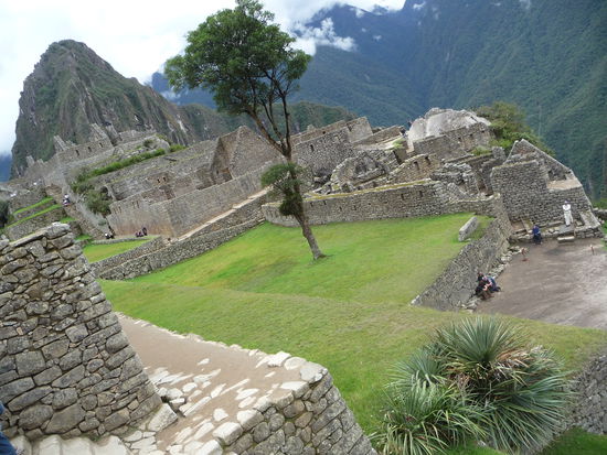 Machu Picchu
