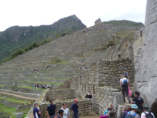 Machu Picchu Ost Sector mit Terasse