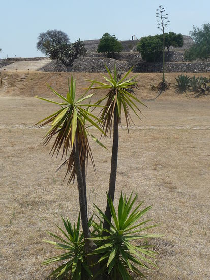 Ruinenstätte Xochitecatl