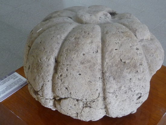 Fundstücke aus El Tajin