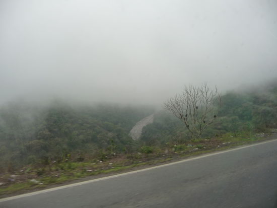 Es geht zurück von der feuchtwarmen Golfküste , durch Nebel verhangene Berge nach Mexiko City