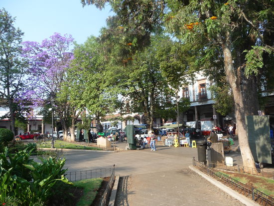 Plaza Bocanegra