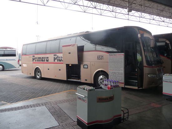 Bus von Primera Plus in Morelia