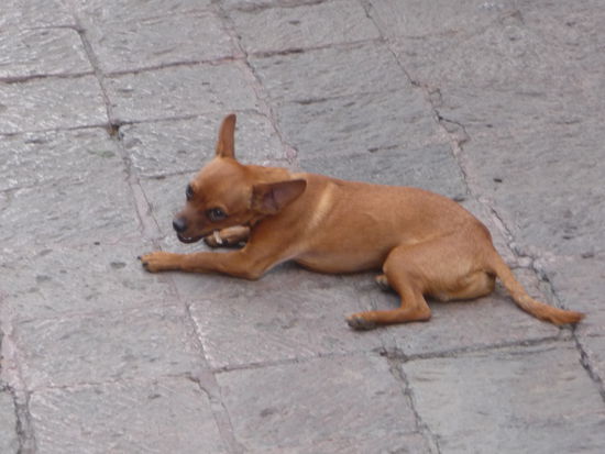 Und auch er ist mit dabei 