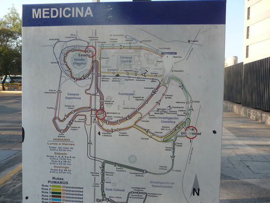 Das ist der Streckenplan von ca. ein Dutzend Shuttle Bus Linien in und um den Campus herum