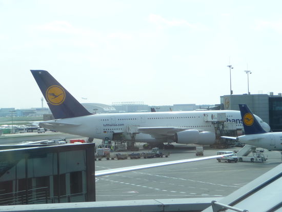 Das zur Zeit größte Passagier Flugzeug der Welt ein A 380 der Lufthansa am Flughafen Frankfurt Main