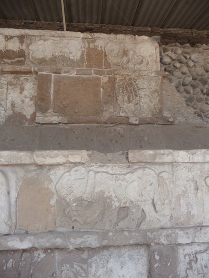 Am Palacio Quetzalcoatl ist diese Wand mit Löwen bzw. Leoparden zu sehen