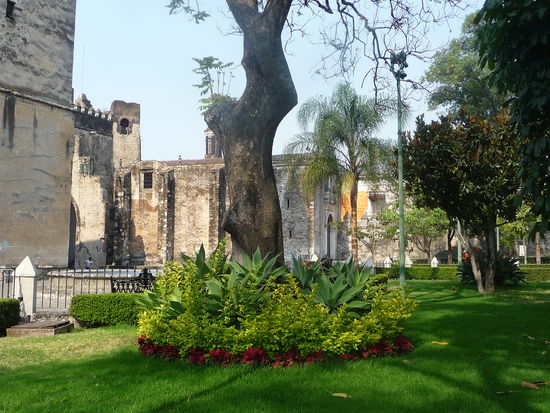Garten mit Kathedrale im Hintergrund