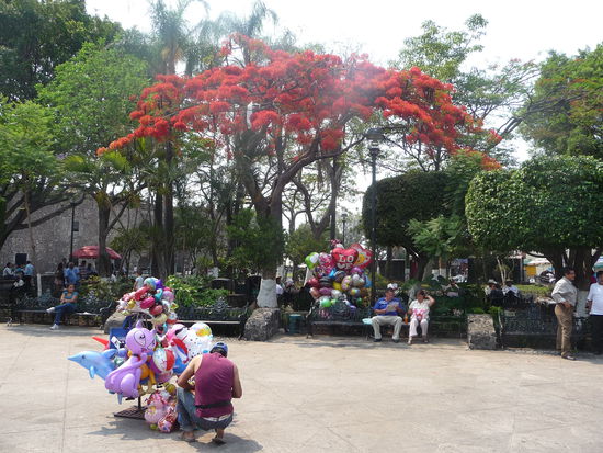 Am Zocalo von Cuernavaca