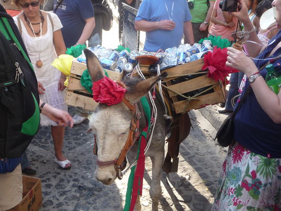 Eine Touristengruppe aus Russland bei einer Tequila Verkostung am Zocalo - Der Alkohol liegt in den Kisten die der Esel trägt 