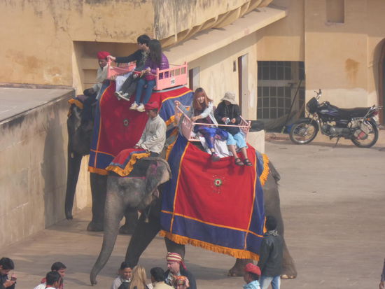 Ich bin bei weiten nicht der einzige Besucher in Amber Fort