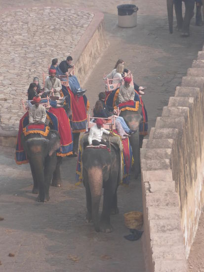 Viele Touristen nutzen die bunten Elefanten zum Aufstieg in das Amber Fort