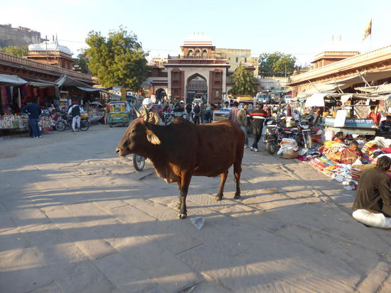 Auf dem Sardar Markt in Jodhpur