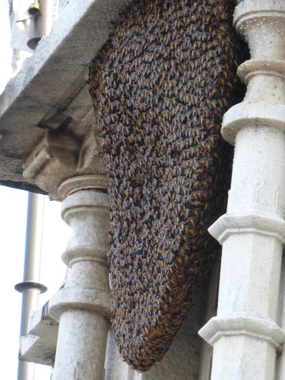 Jain Tempel Ranakpur mit Binennest