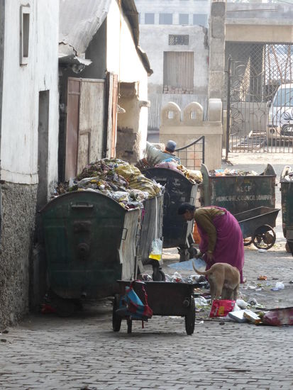 Frau und Hund suchen nach brauchbaren im Müll aber so etwas gibt es ja auch bei uns in Deutschland.