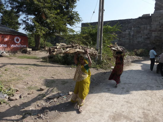 Weiter geht es durch den Champaner - Pavagadh Park