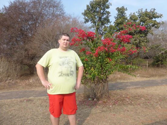 Weiter geht es durch Sanchi zu Stupa 2