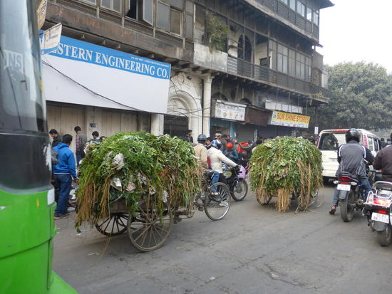 Dichter Verkehr in Old Delhi egal ob mit Motor oder ohne