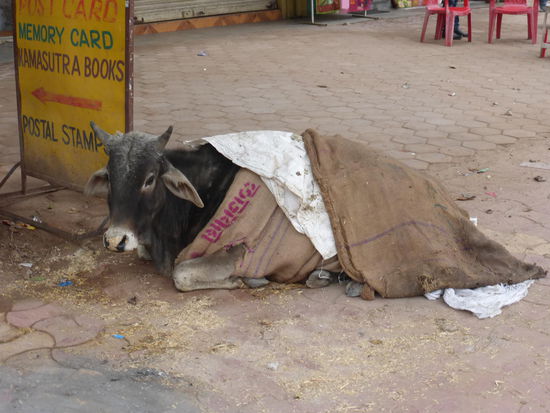 Sparziergang durch den Ort Khajuraho