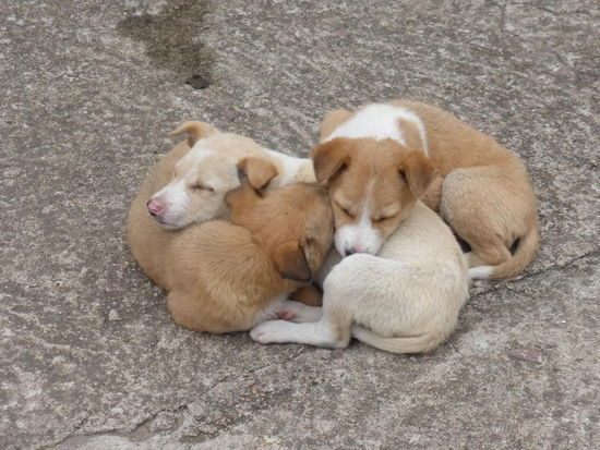 3 auf einen Streich !! 