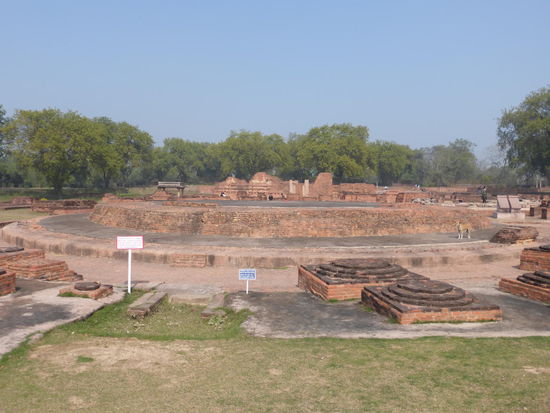 Reste der Dhamarajika Stupa in Sarnath