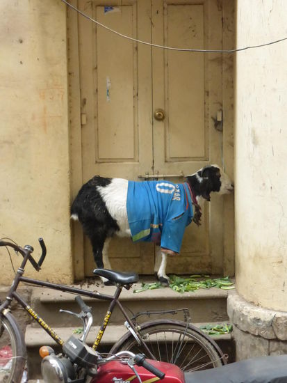 Sie bittet um Einlass 