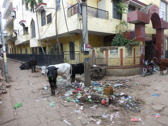 Spaziergang durch die Altstadt von Varanasi
