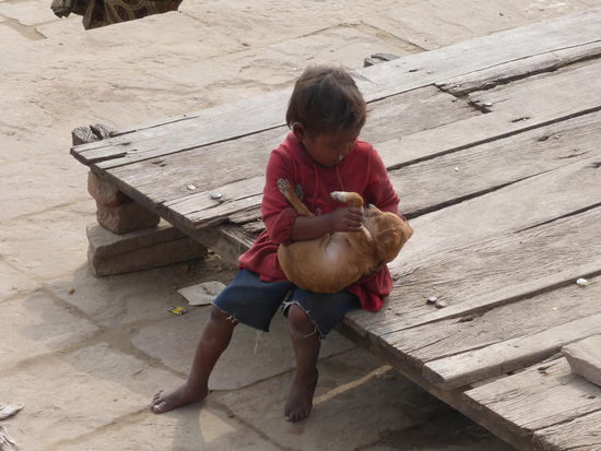 Vierbeiner mit Zweibeiner 