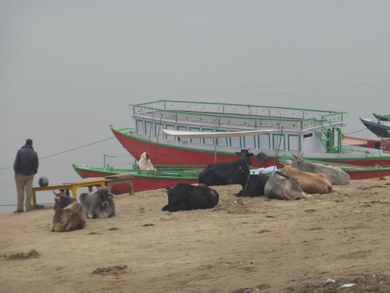 Blick auf den Ganges