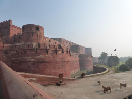 Die mächtigen Mauern des Red Forts in Agra